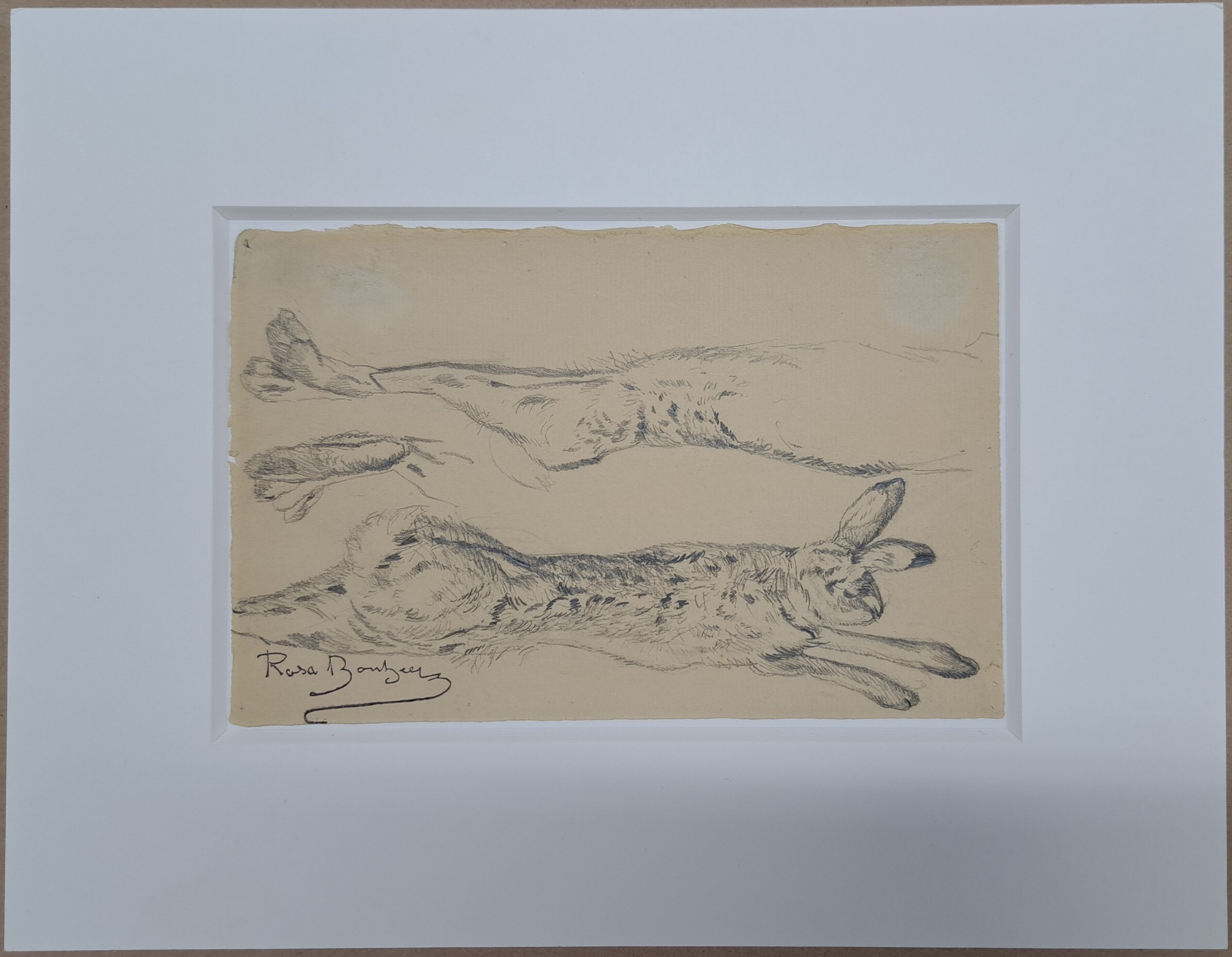 Detail d: Rosa Bonheur, 1822-1899, Sammlung aus 6 Tierstudien in Bleistift auf Papier, alle mit Signaturstempel (Lugt 275), von ca. 11.5x 15cm bis ca. ...