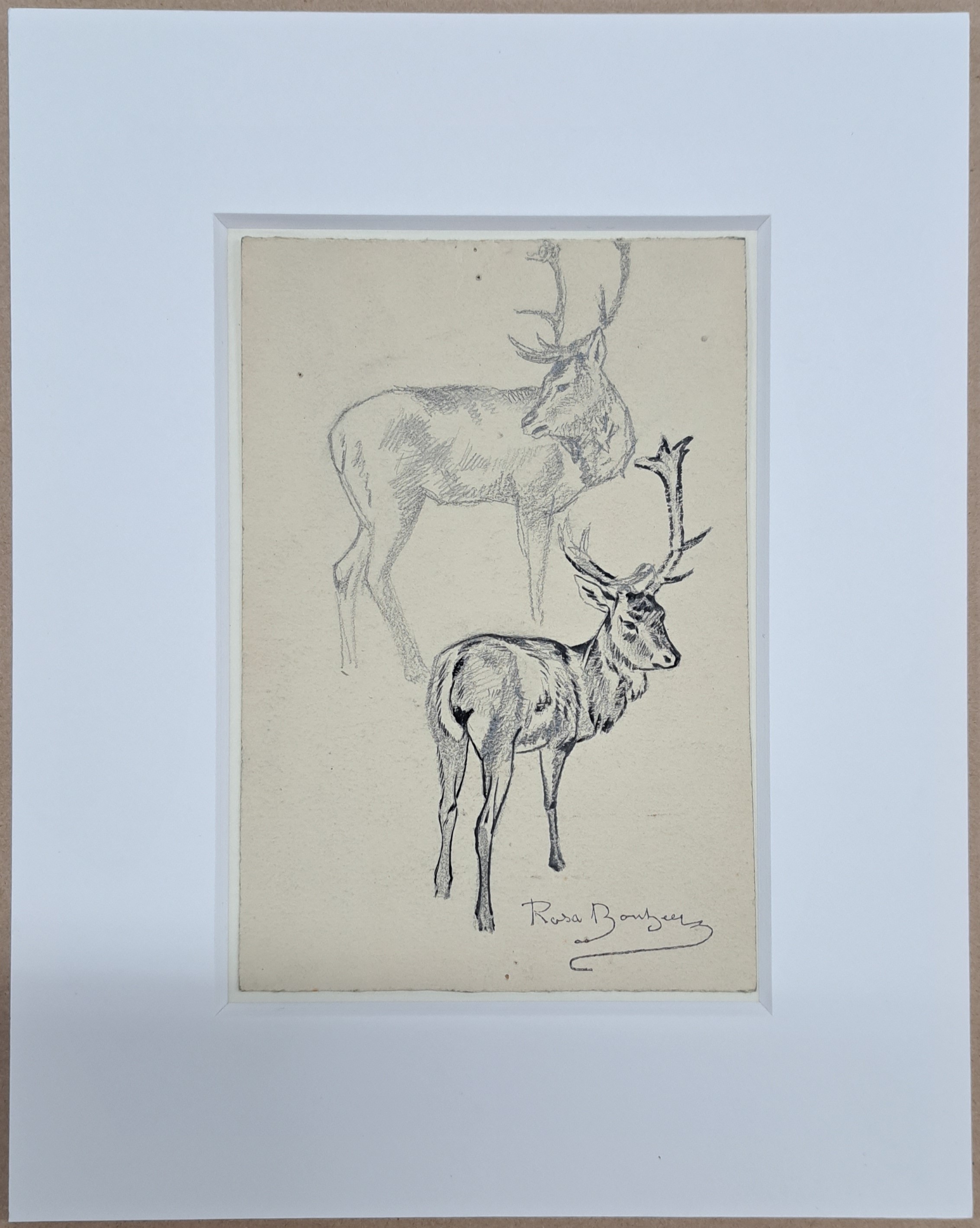Detail e: Rosa Bonheur, 1822-1899, Sammlung aus 6 Tierstudien in Bleistift auf Papier, alle mit Signaturstempel (Lugt 275), von ca. 11.5x 15cm bis ca. ...