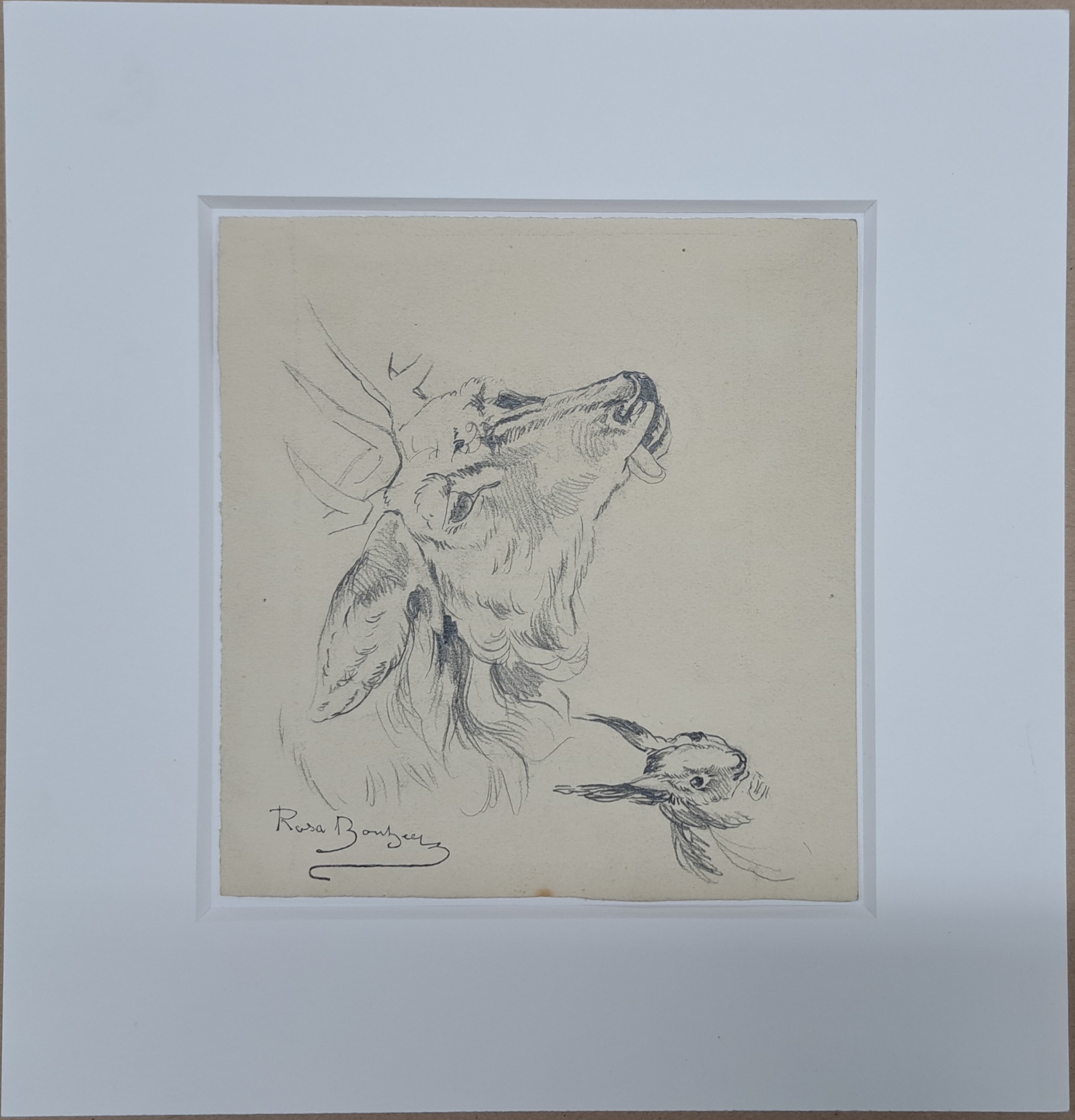 Detail f: Rosa Bonheur, 1822-1899, Sammlung aus 6 Tierstudien in Bleistift auf Papier, alle mit Signaturstempel (Lugt 275), von ca. 11.5x 15cm bis ca. ...