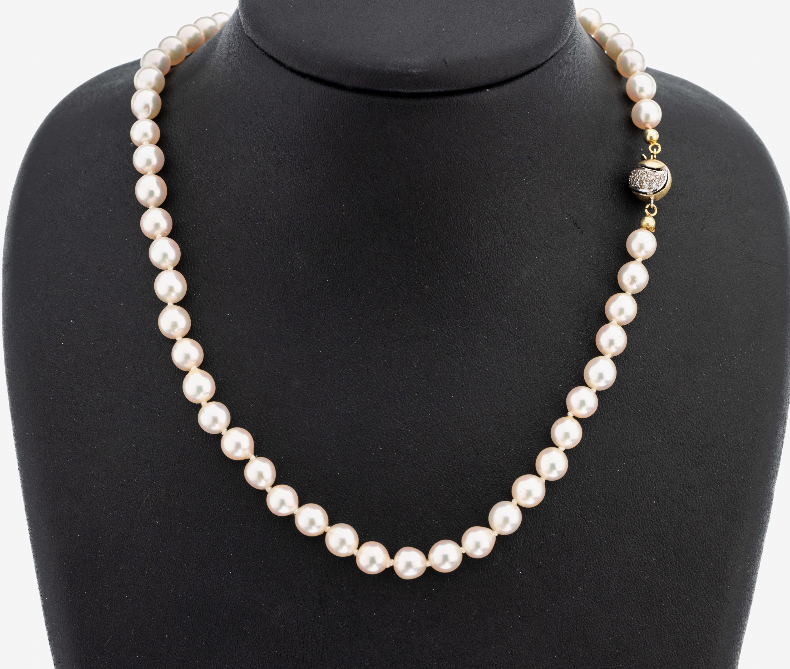Image 27104140 - Perl-Collier mit 14 kt Gold Diamant-Schließe, GG/WG 585/000, Akoyazuchtperlen, D. ca. ...