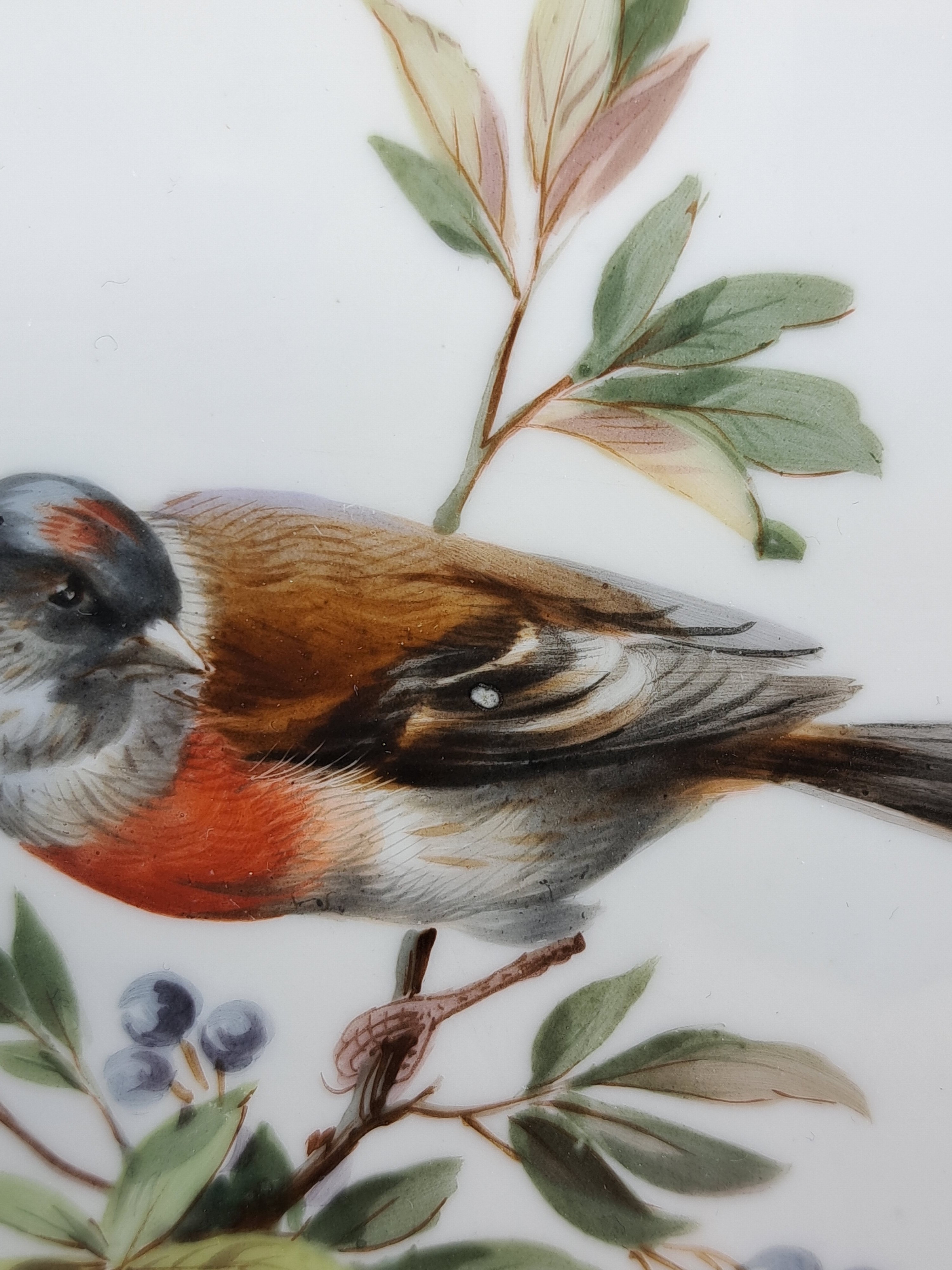 Detail j: Paar Zierteller/Dessertteller, Meissen, um 1880/90, Porzellan, Wandung in Durchbrucharbeit, Goldstaffage, feine Vogelbemalung, in drei Kartuschen ...