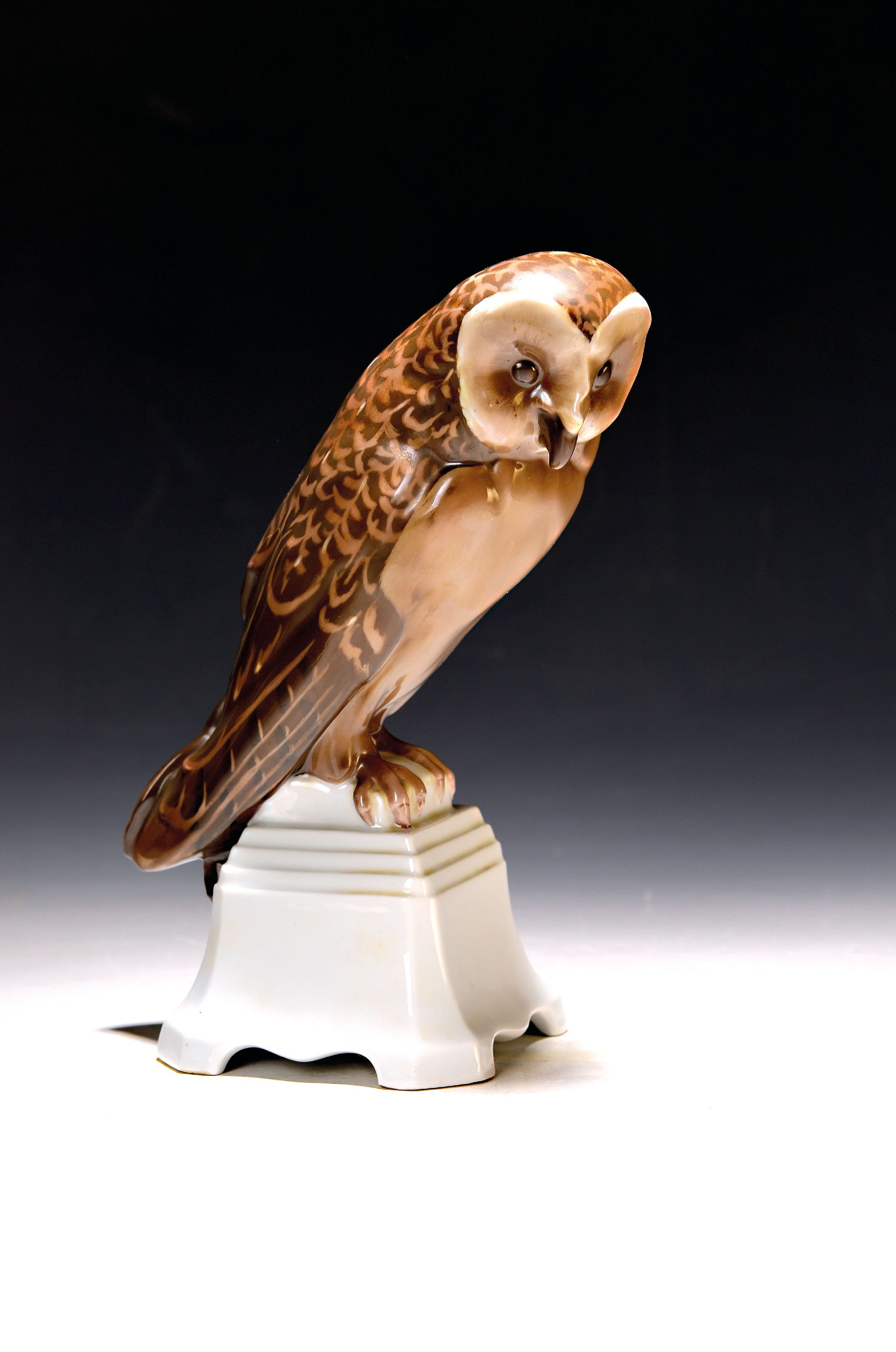 Image 27108466 - Large porcelain figure, Rosenthal, around 1920, designed by Wilhelm Veit, owl on a ...