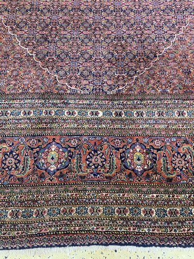27109341h - Sarab´Mashaiekhi´fein, Persien, signiert, Mitte 20.Jhd, Korkwolle auf Baumwolle, ca. ...