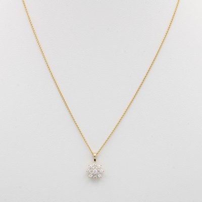 Image Anhänger mit Brillanten an Kette, GG 585/000, 17 Brill. blütenförm. gef. zus. ca. ...