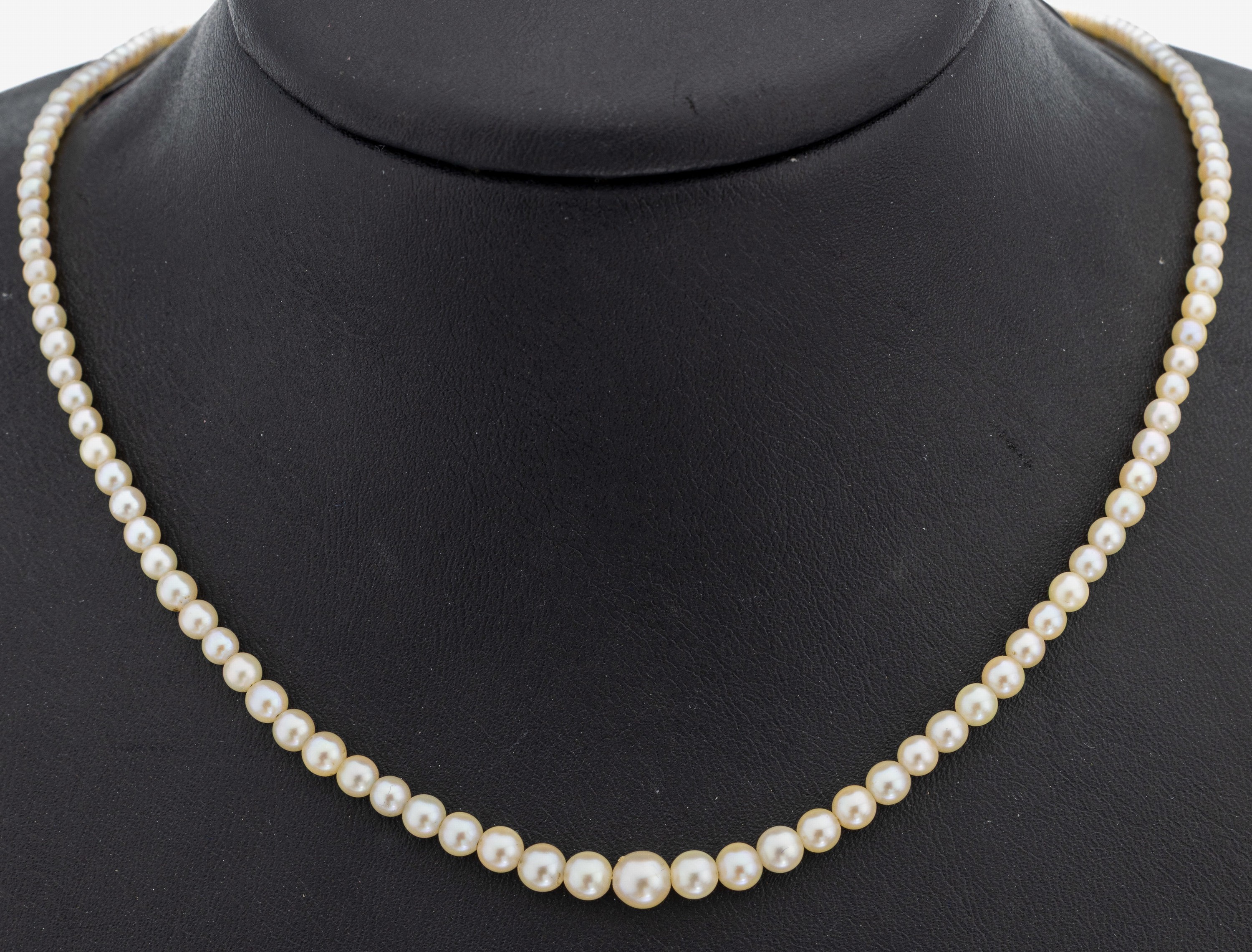 Image 27113073 - Perl-Collier mit 14 kt Gold Schließe, GG 585/000, Zuchtperlen im Verlauf, D. ca. 2.3- ...