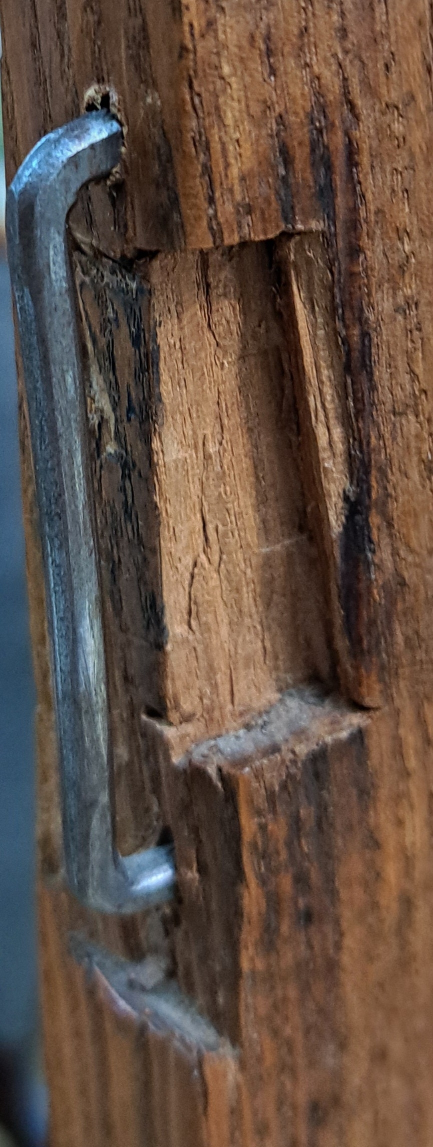 Detail f: Dielenschrank, Bodensee, dat. 1843, Meistersignatur Thomas Gauus (?), massiv Rüster, eine Schublade im Boden, zwei Türen, Inneneinrichtung ...