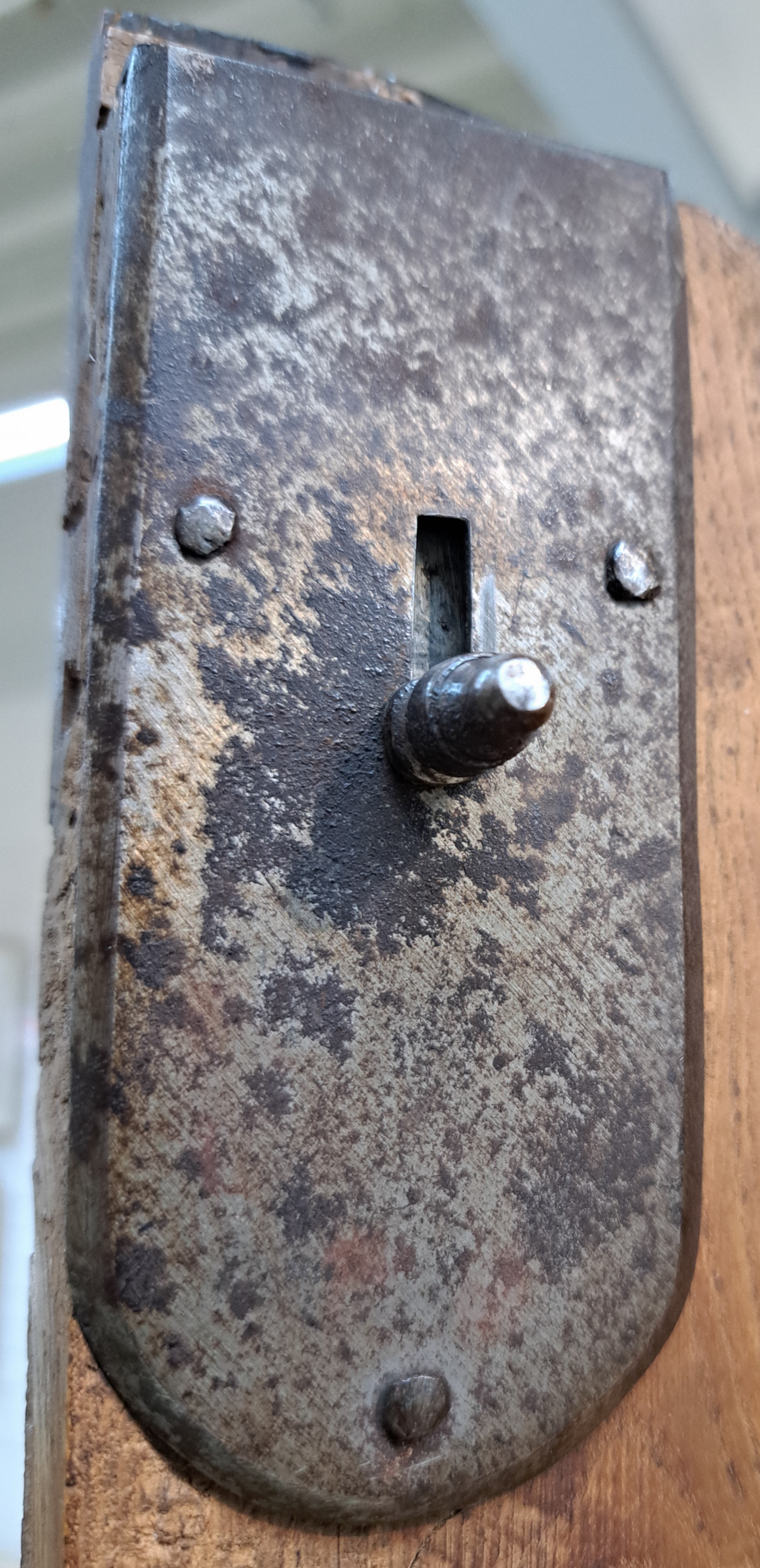 Detail g: Dielenschrank, Bodensee, dat. 1843, Meistersignatur Thomas Gauus (?), massiv Rüster, eine Schublade im Boden, zwei Türen, Inneneinrichtung ...