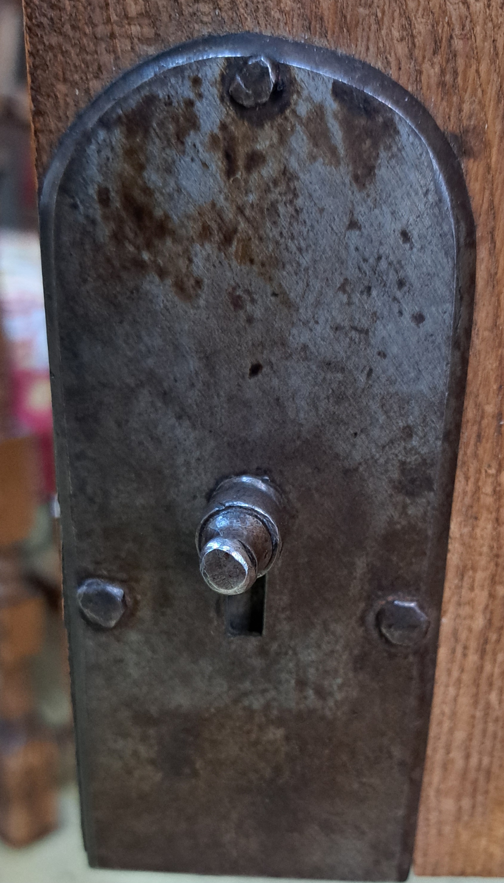 Detail h: Dielenschrank, Bodensee, dat. 1843, Meistersignatur Thomas Gauus (?), massiv Rüster, eine Schublade im Boden, zwei Türen, Inneneinrichtung ...