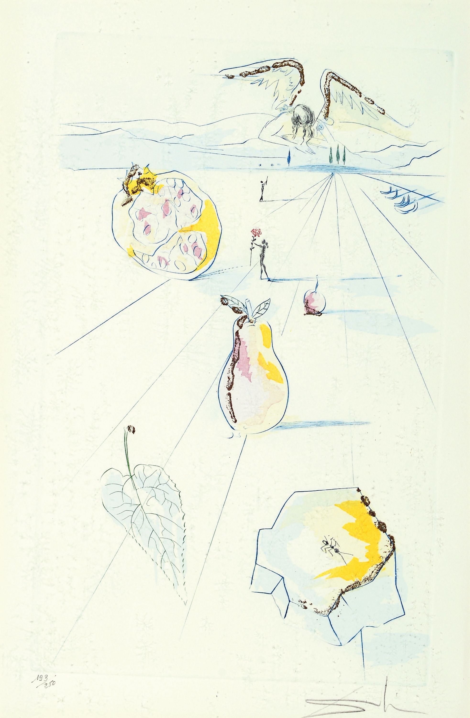 Image 27115454 - Salvador Dali, 1904-1989, Die Früchte des Tales, Radierung mit Pochoir aus: Das Hohe ...