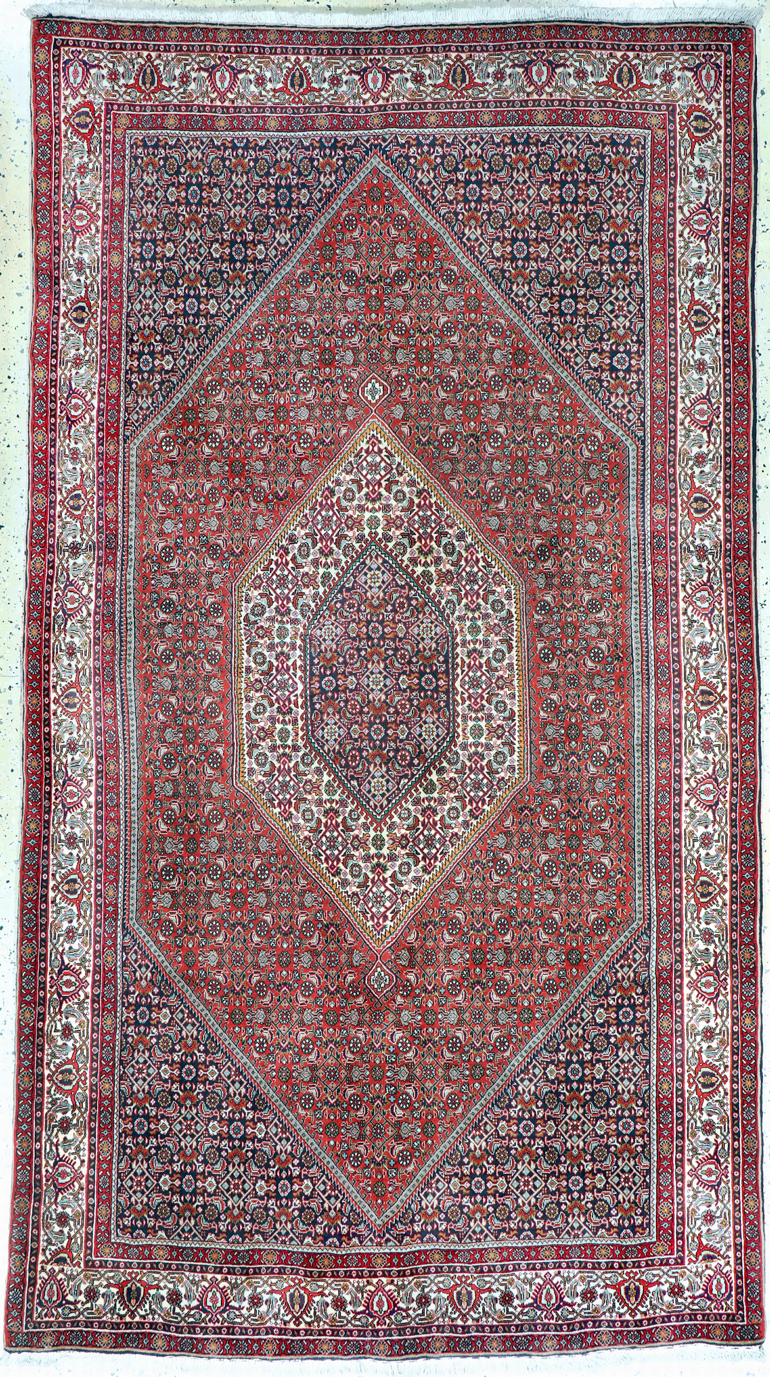 Image 27118328 - Bidjar Kork fein, Persien, Ende 20.Jhd, Korkwolle auf Baumwolle, ca. 272 x 150 cm, EHZ: ...
