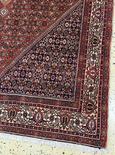 27118328a - Bidjar Kork fein, Persien, Ende 20.Jhd, Korkwolle auf Baumwolle, ca. 272 x 150 cm, EHZ: ...