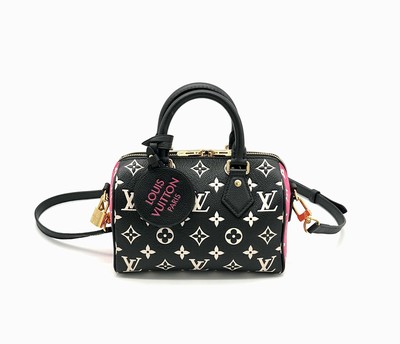 LOUIS VUITTON Speedy Duffle 20