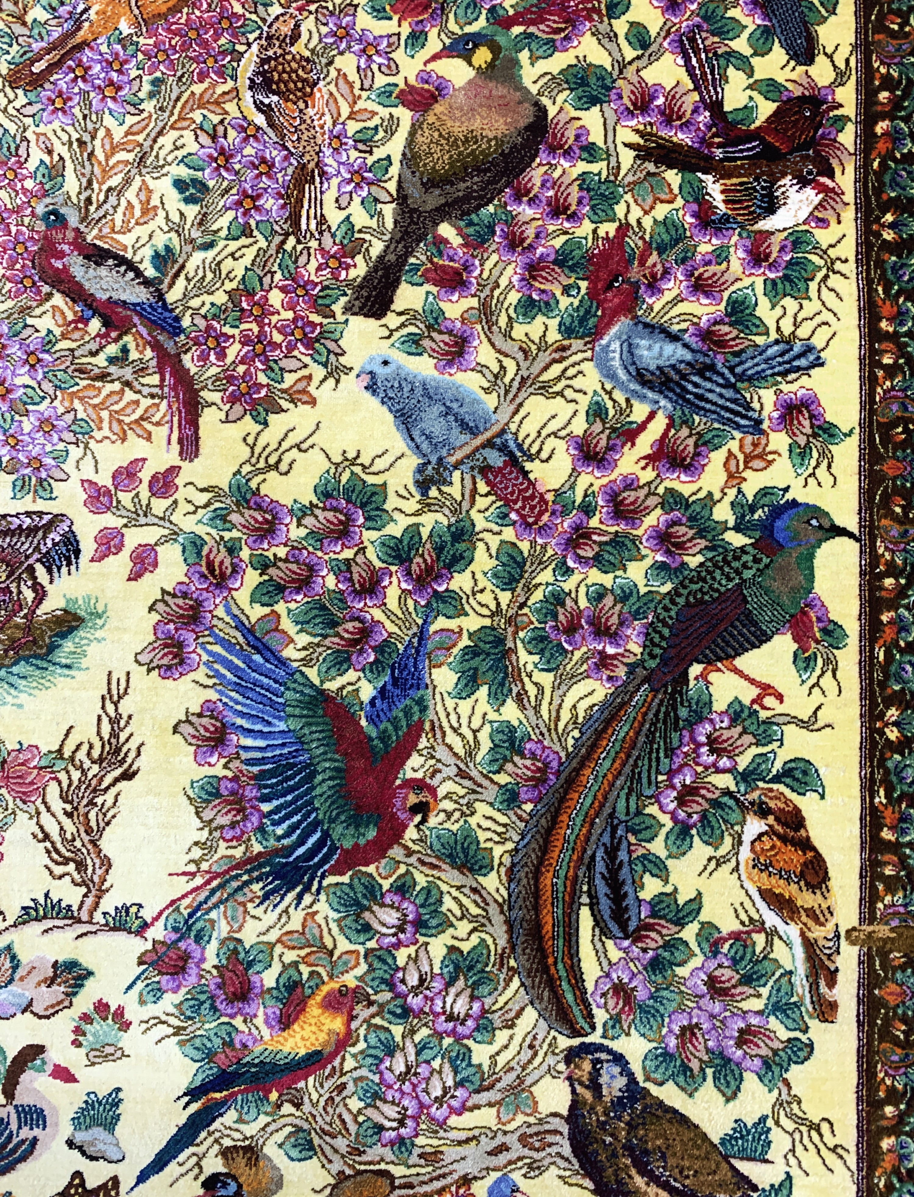 Detail d: Ghom Seide fein Persien, signiert"Sadeghzadeh", ca. 20 Jahre, reine Naturseide, ca. 155 x 100 cm, ca. 1,0 Mio. Kn/qm, EHZ:(nahezu ...