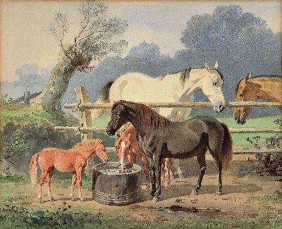 Image Emil Volkers, 1831 Birkenfeld-1905 Düsseldorf, Pferde und Fohlen an der Tränke, ...