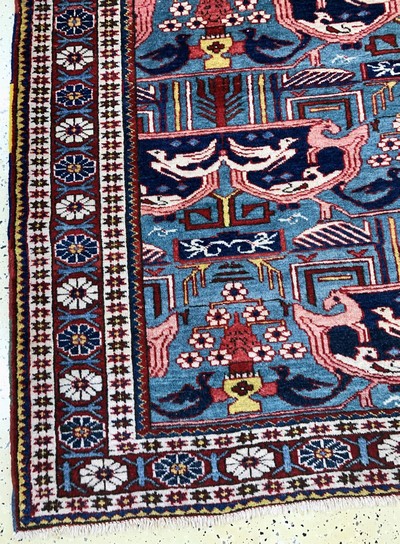 27122954b - Schirwan alt, Kaukasus, Mitte 20.Jhd, Wolleauf Baumwolle, ca. 255 x 165 cm, EHZ: 2-3 ...