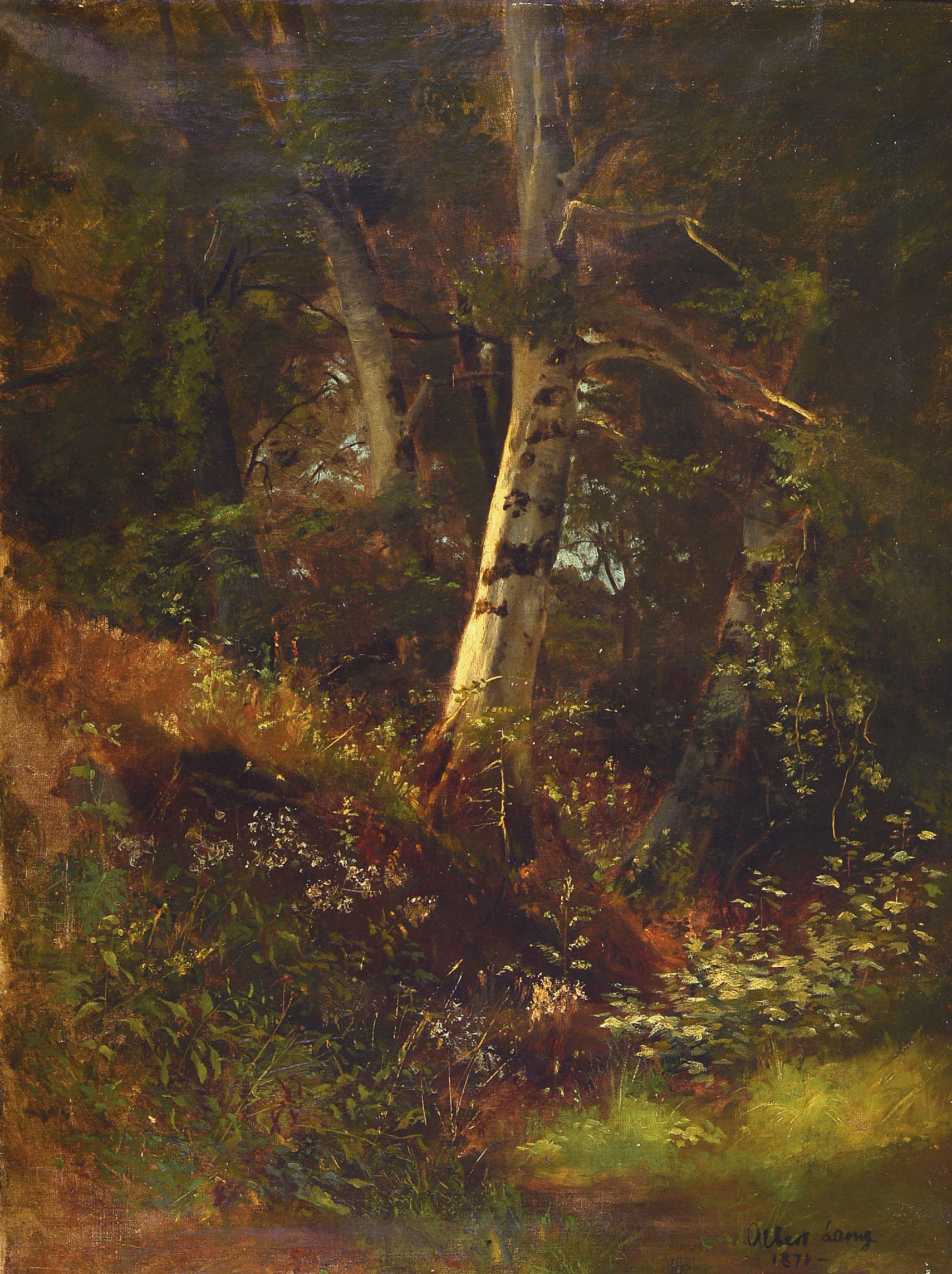 Image 27123322 - Albert Lang, 1847 Karlsruhe-1933 München, ´Buchenschlucht (Im Wald)´ so verso ...