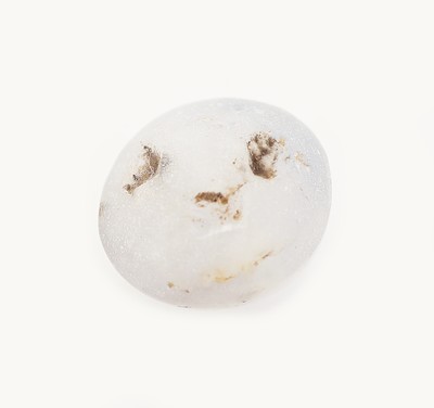 27123965a - Loser Sternsaphir, 7.76 ct, Cabochon Schätzpreis: 950, - EUR