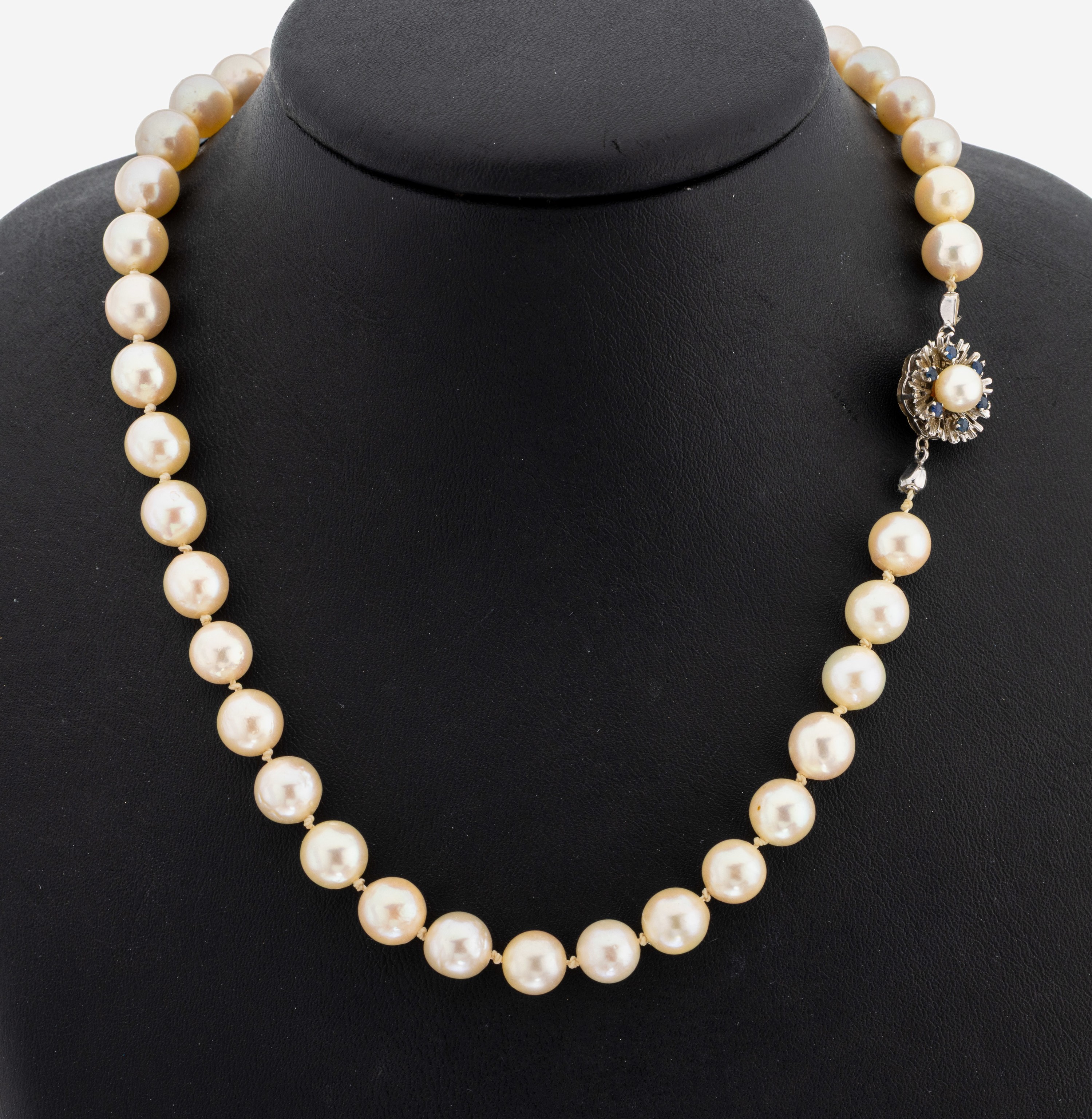 Image 27124363 - Perl-Collier mit 14 kt Gold Saphir-Schließe, WG/GG 585/000, l. barocke ...