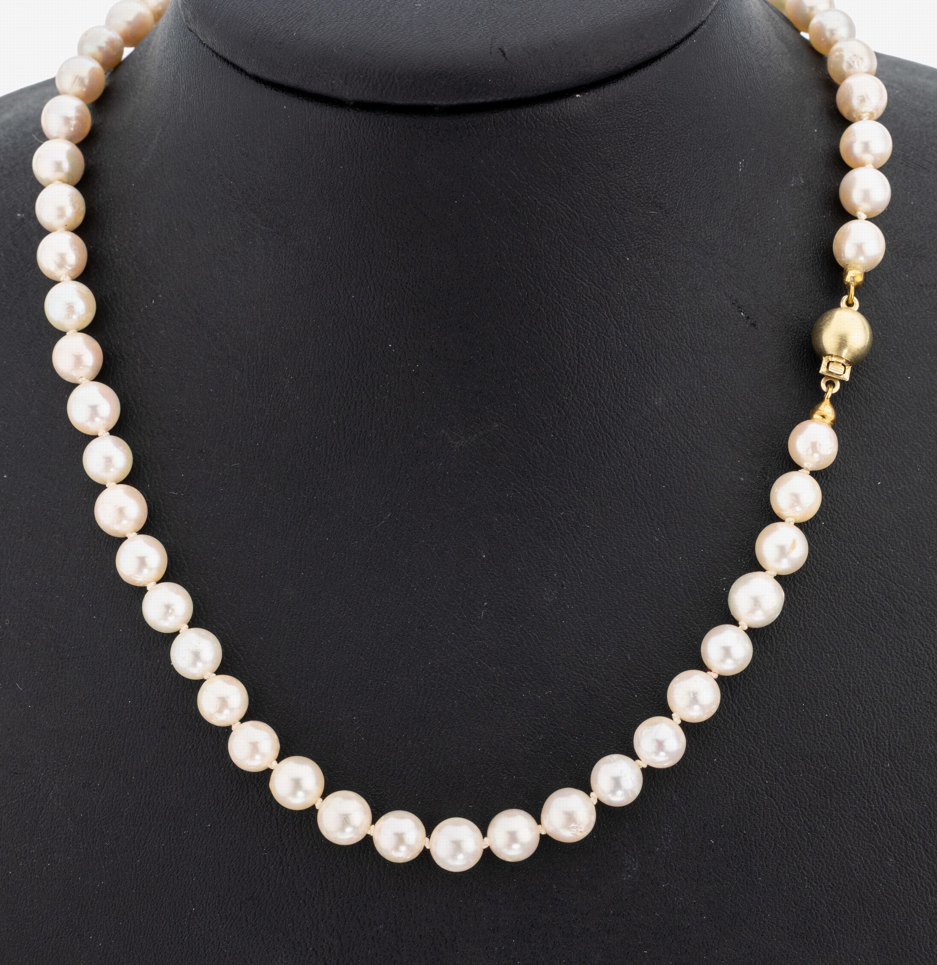Image 27124447 - Perl-Collier mit 14 kt Gold Schließe, GG 585/000, Akoyazuchtperlen, D. ca. 6.5-7.0 mm, ...
