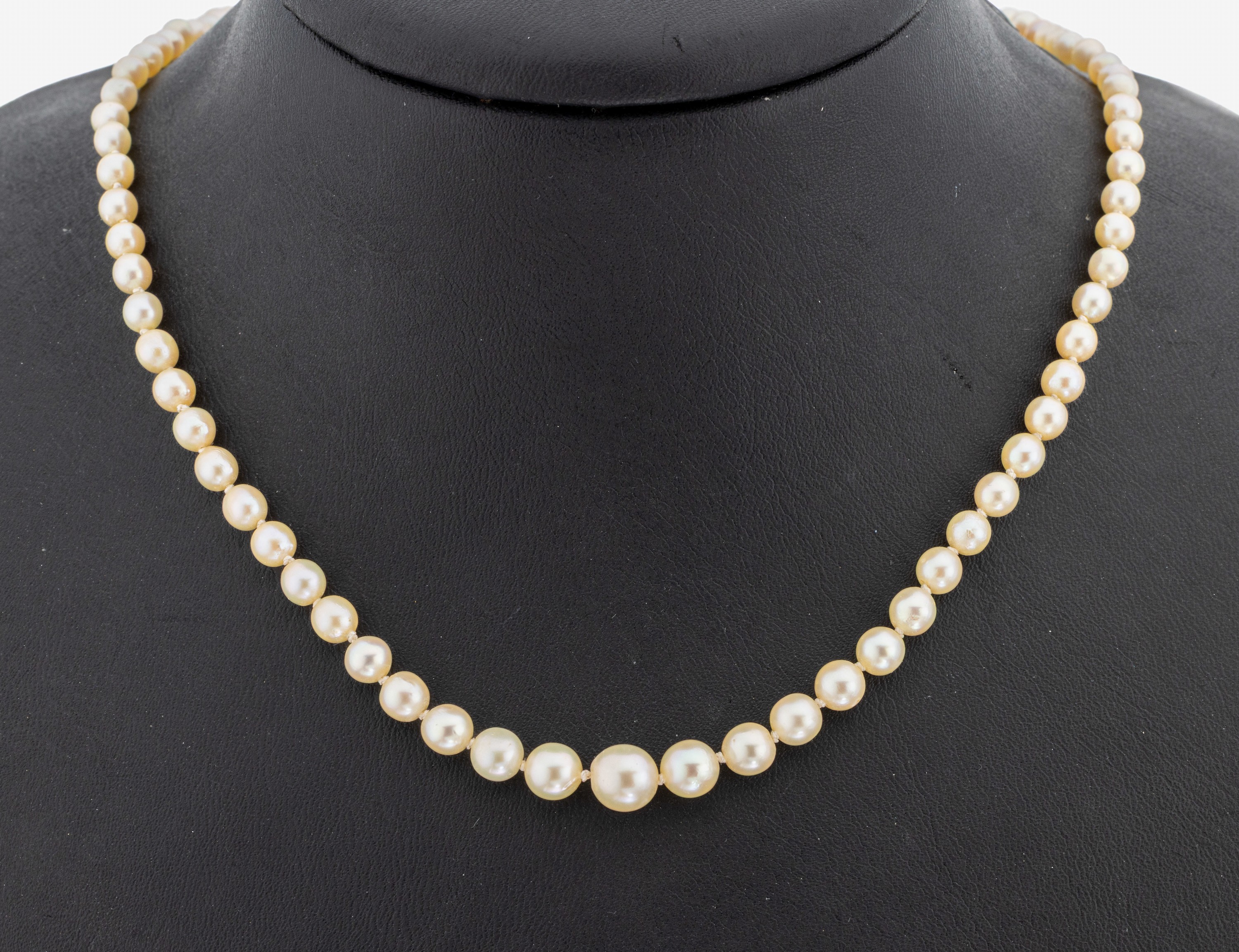 Image 27124729 - Perl-Collier mit 18 kt Gold Saphir-Schließe, WG 750/000 gepr., Zuchtperlen im Verlauf, ...