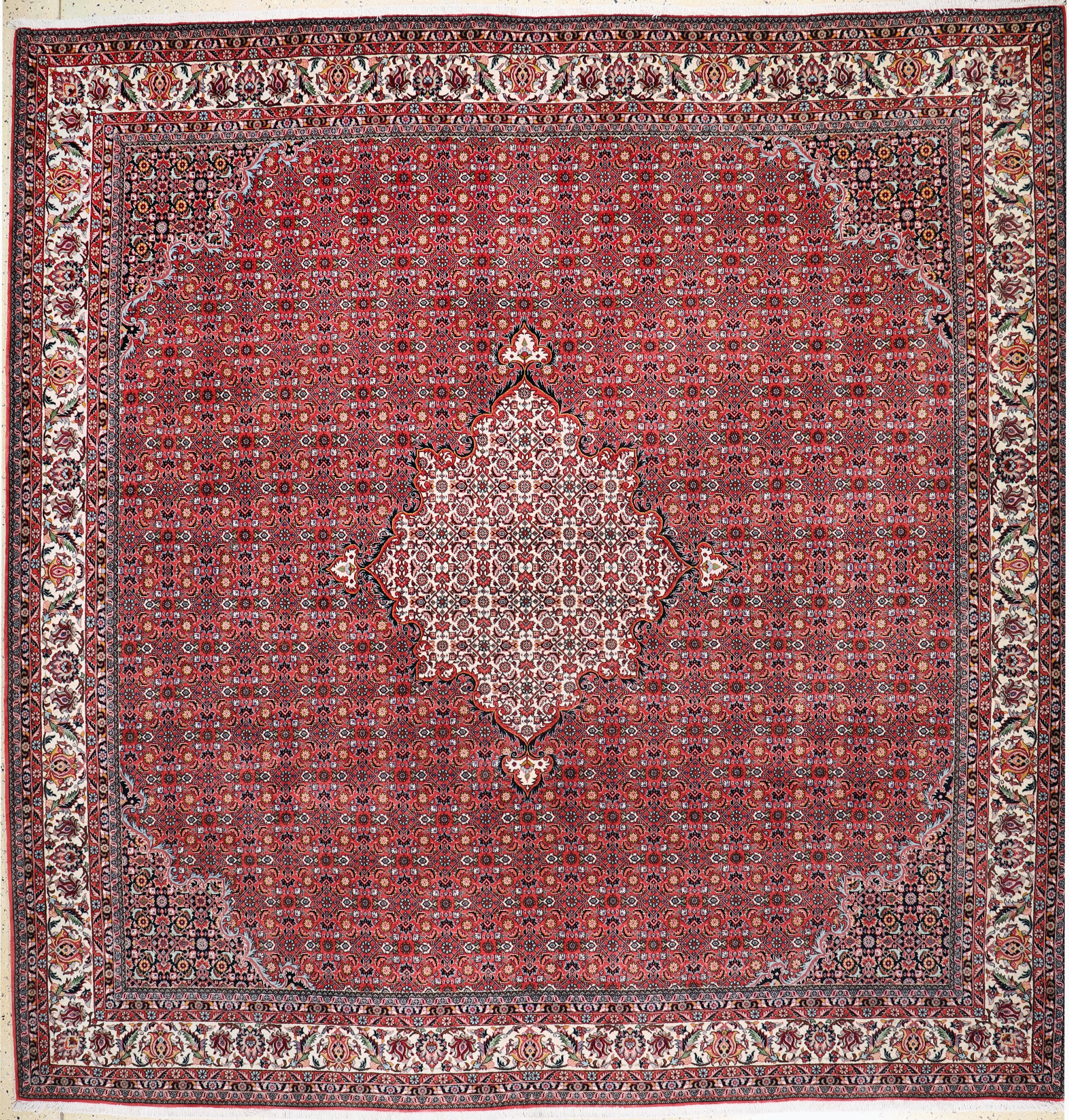 Image 27126115 - Bidjar Kork fein, Persien, Neuwertig, Korkwolle auf Baumwolle, ca. 310 x 302 cm ...