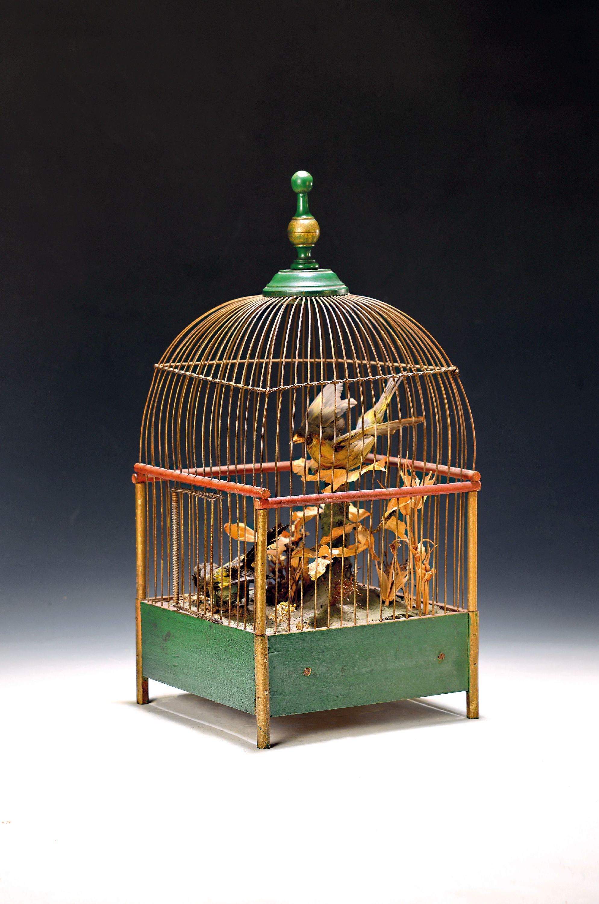 Image 27127706 - Vogelkäfig mit Automat und Musikspielwerk/ Singvogelspieluhr, Frankreich um 1900, ...