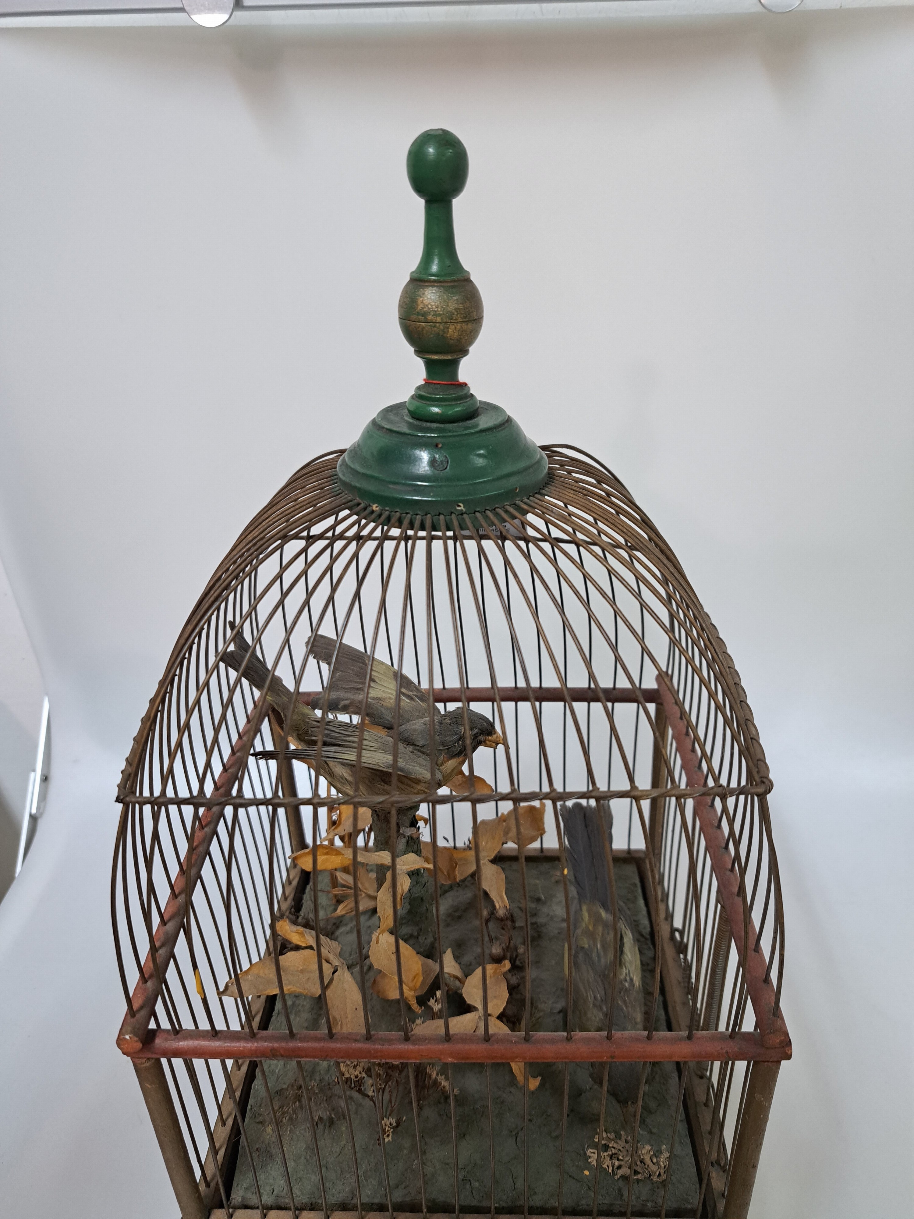 Detail b: Vogelkäfig mit Automat und Musikspielwerk/ Singvogelspieluhr, Frankreich um 1900, gedoppelter Holzboden, darin Musikspielwerk mit wechselnden zwei ...
