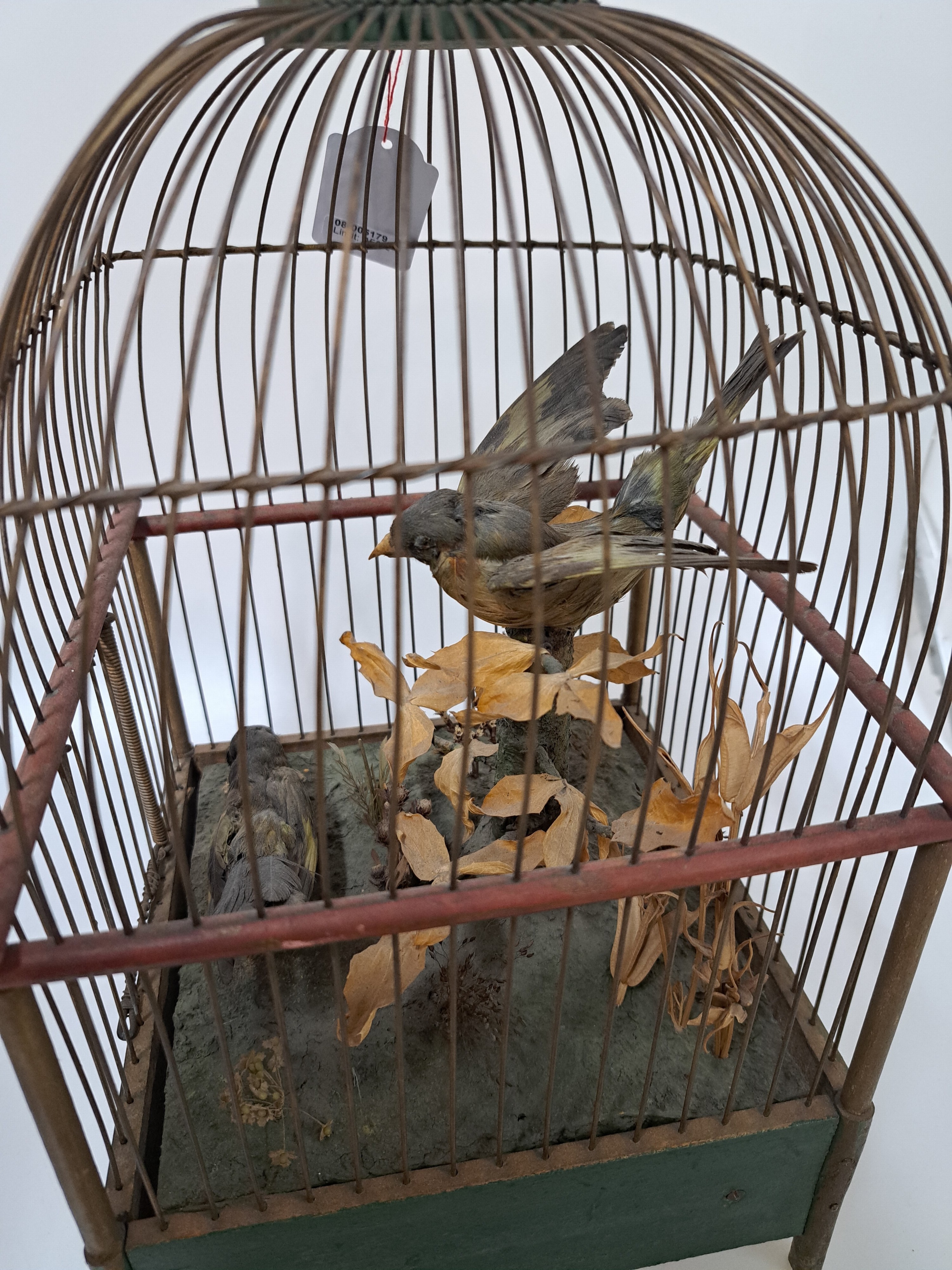 Detail e: Vogelkäfig mit Automat und Musikspielwerk/ Singvogelspieluhr, Frankreich um 1900, gedoppelter Holzboden, darin Musikspielwerk mit wechselnden zwei ...
