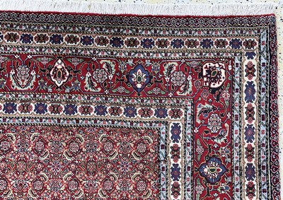 27128282e - Sarab fein, Persien, Ende 20.Jhd, Korkwolleauf Baumwolle, ca. 280 x 202 cm, EHZ: 1-2 ...