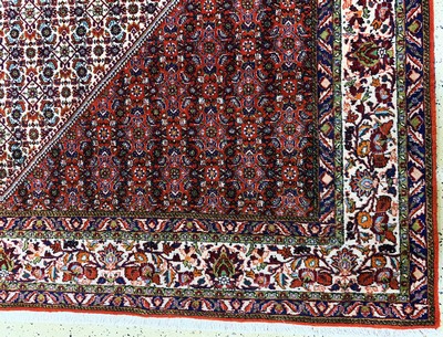 27128285a - Bidjar Kork, Persien, Ende 20.Jhd, Korkwolle auf Baumwolle, ca. 355 x 250 cm, EHZ: 1-2 ...