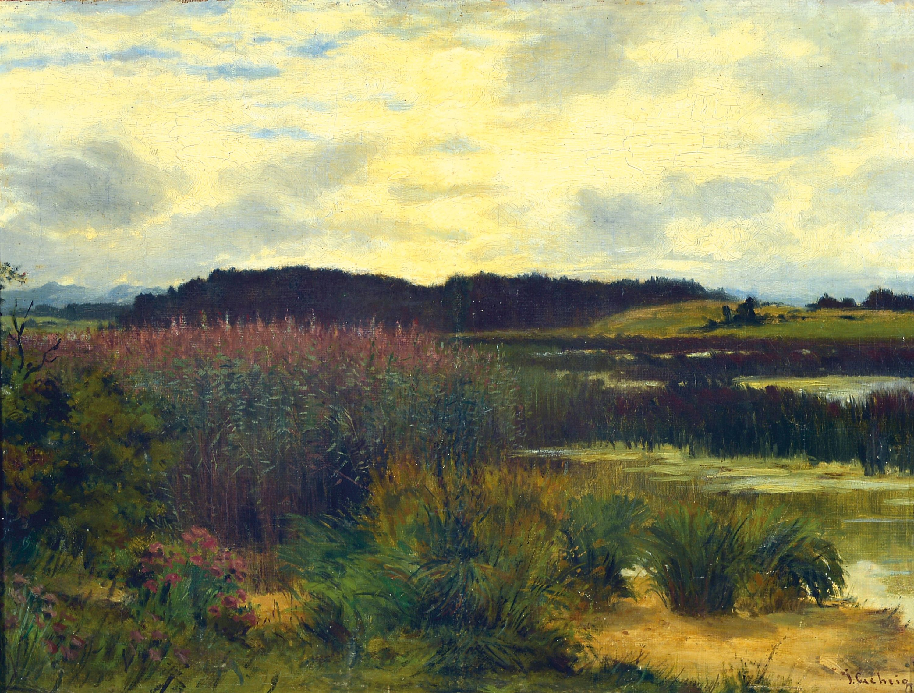 Image 27130046 - Jacob Gehrig, 1846 Flawil-Degersheim-1922 München, Moorlandschaft im Dachauer Moos, ...