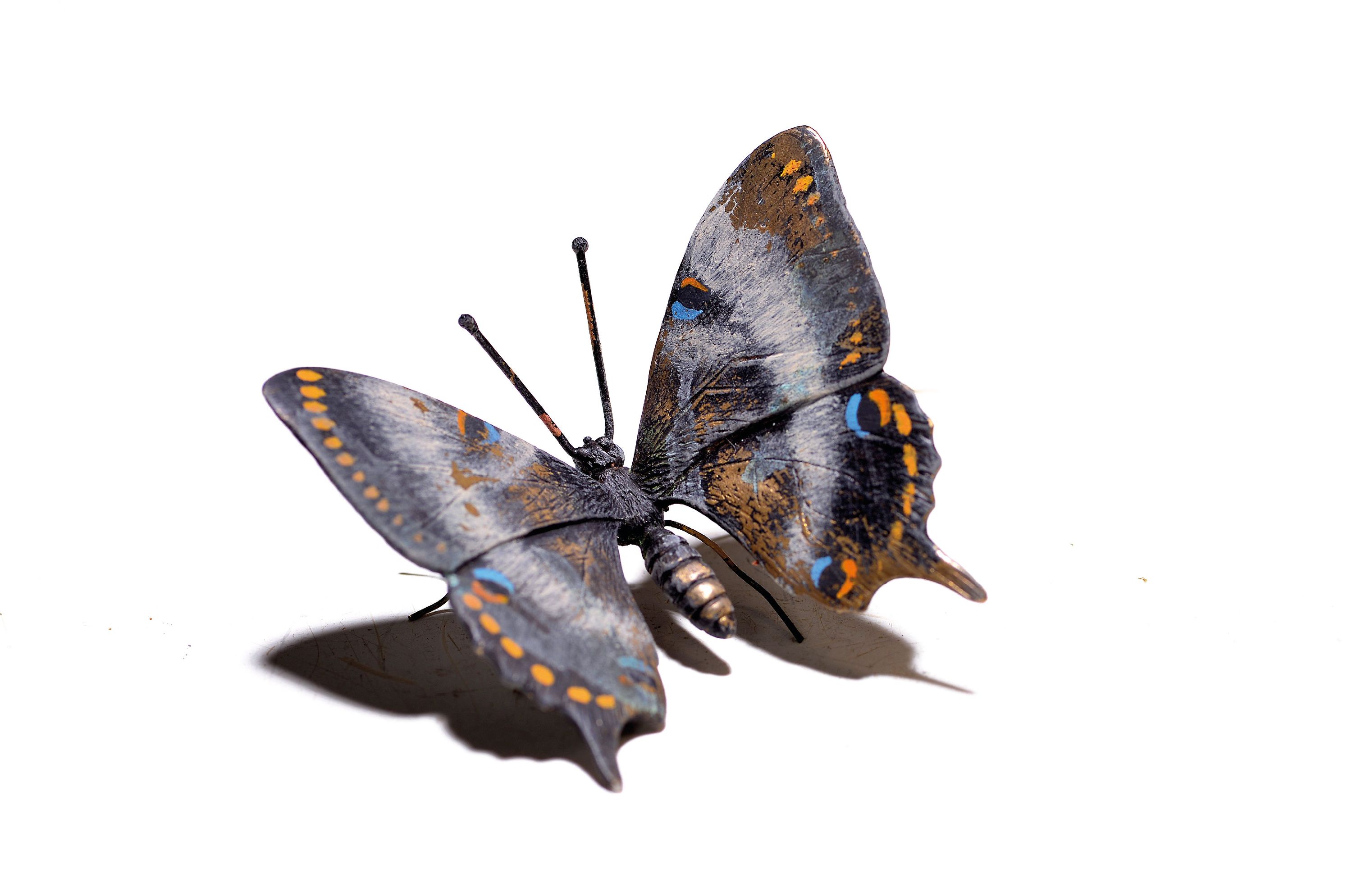 Image 27130588 - Wiener Bronze, Schmetterling, sign. Franz Bergmann, bunt staffiert, ca.4.5x5.5 cm