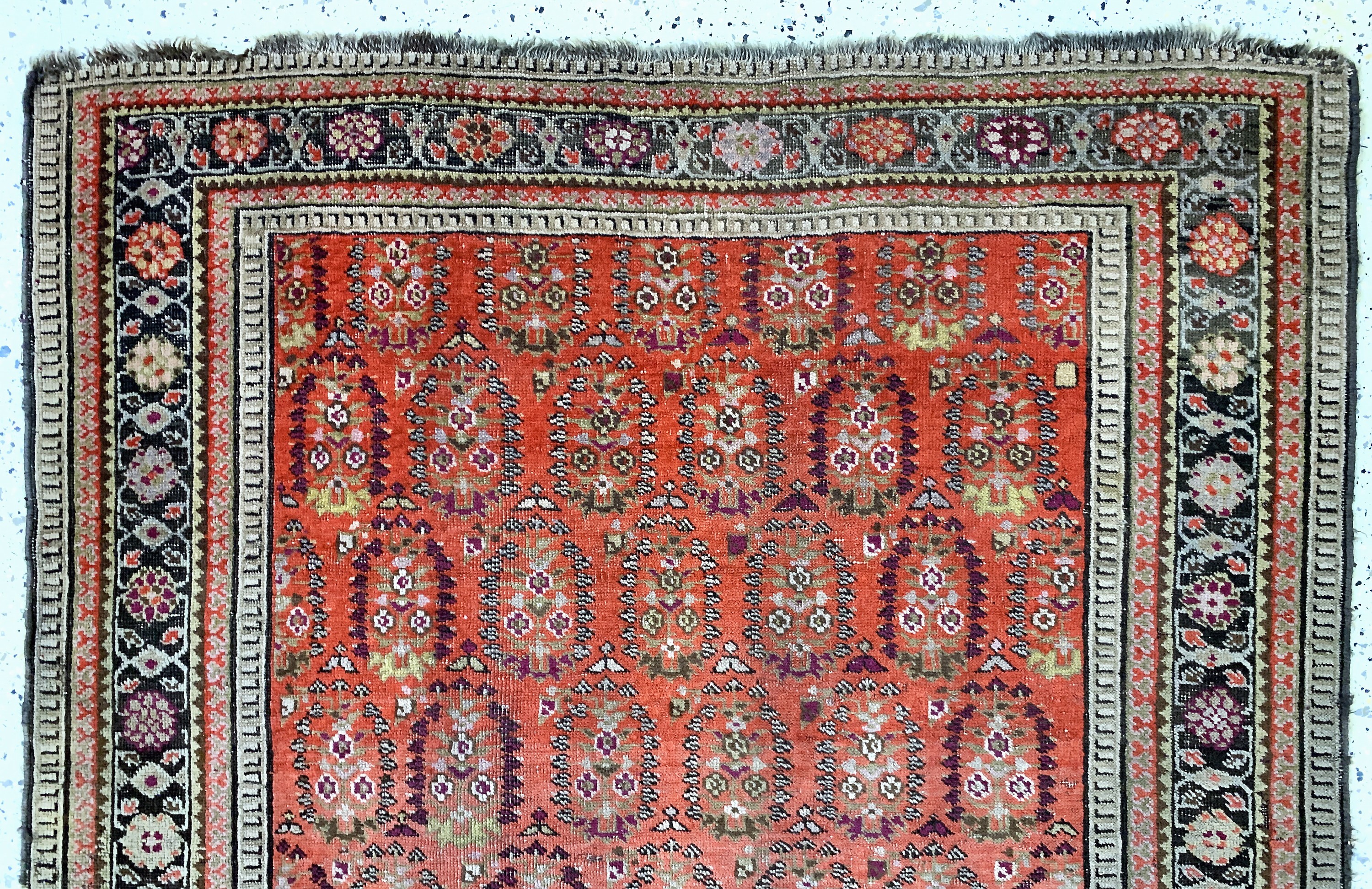 Detail a: Karabagh antik, Kaukasus, 19.Jhd, Wolle aufWolle, ca. 188 x 130 cm, EHZ: 3