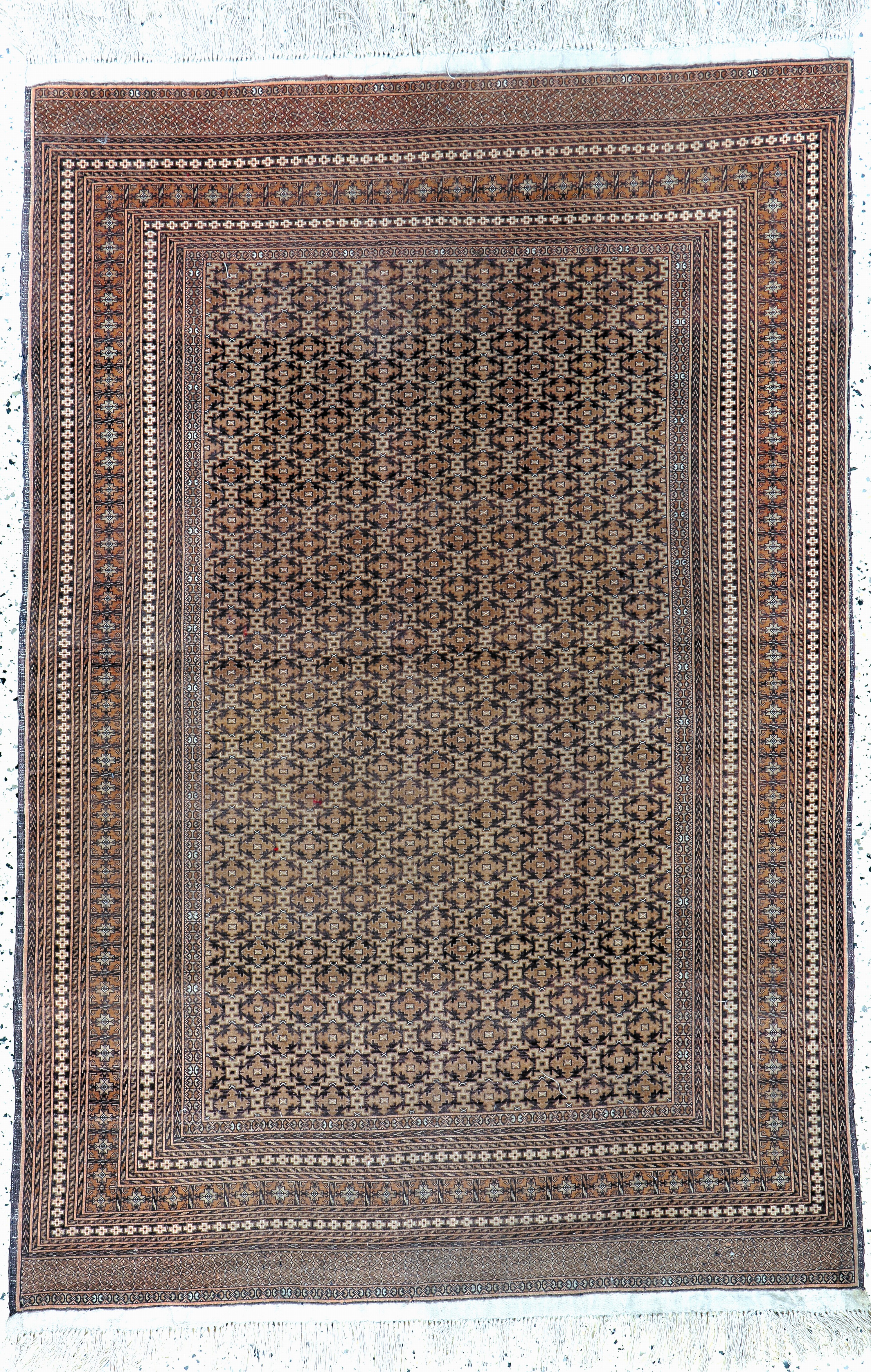 Image 27132819 - Mauri fine, Afghanistan, late 20th century, Wolle auf Baumwolle, approx. 170 x 120 cm, ...