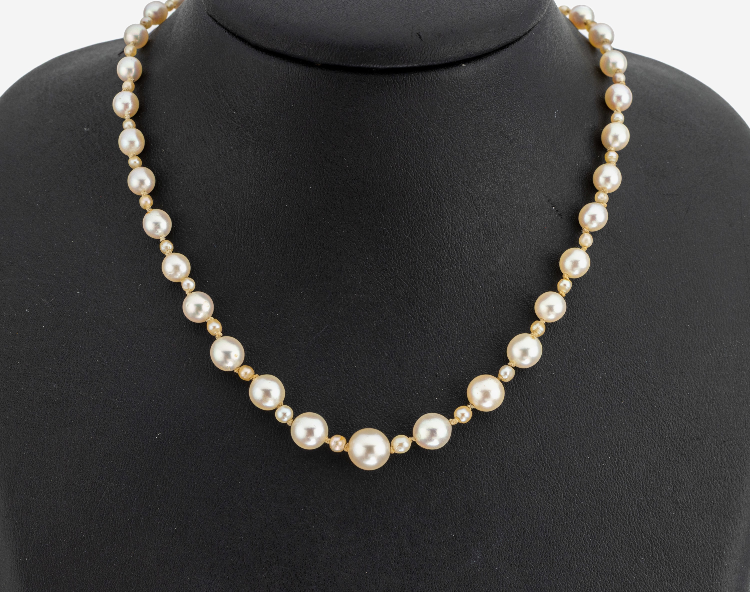 Image 27138606 - Perl-Collier mit 18 kt Gold Nephrit-Schließe, WG 750/000, Zuchtperlen im Verlauf, D. ...