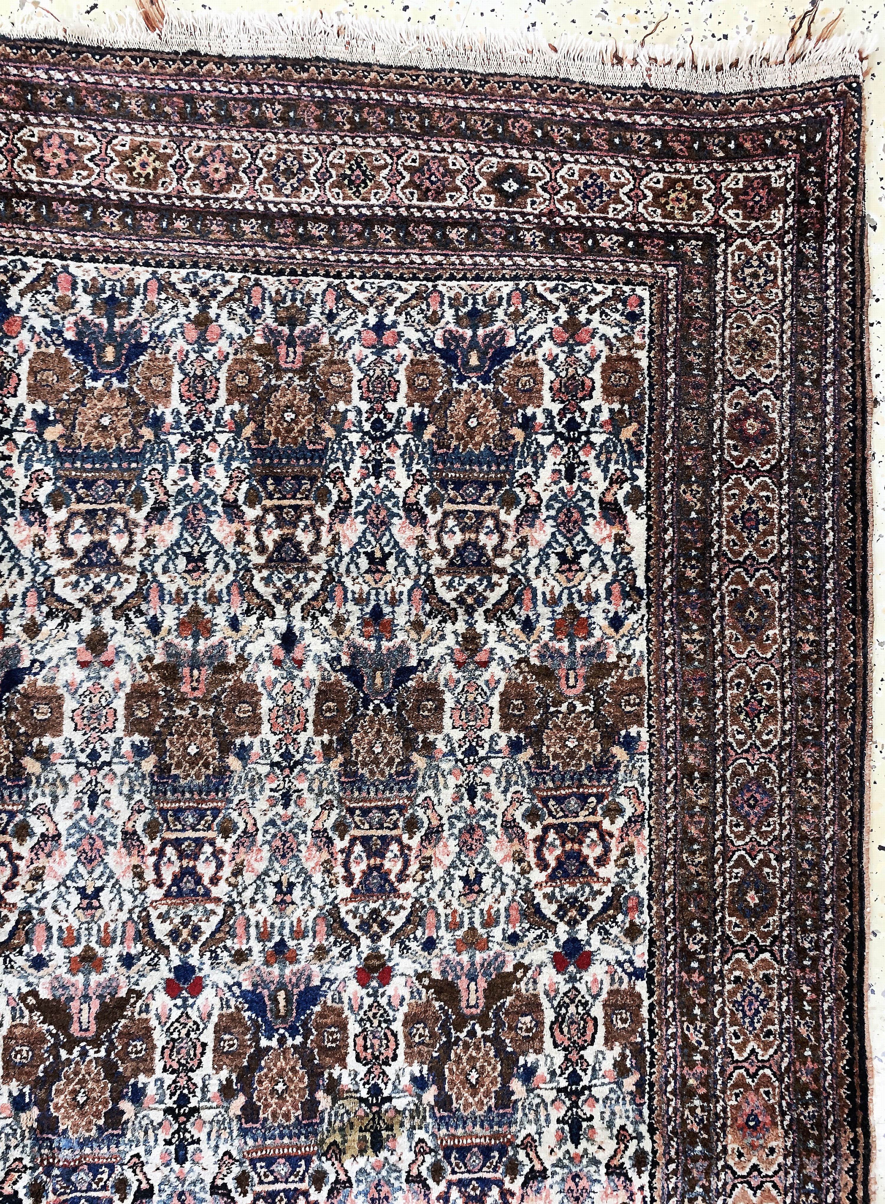 Detail d: Afschar, Persien, Anfang 20.Jhd, Wolle auf Baumwolle, ca. 180 x 133 cm, EHZ: 2
