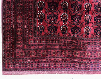 27146595b - Khalmmohamadi fine, Afghanistan, late 20th century, corkwool on wool, approx. 282 x 205 ...