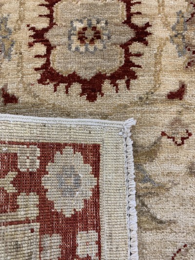27151090f - 2 Lots Sigler, Pakistan, Ende 20.Jhd, Wolleauf Baumwolle, ca. 151 x 97 cm & ca. 96 x 65 ...