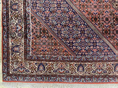 27169005b - Bidjar Kork fein, Persien, Mitte 20.Jhd, Korkwolle auf Baumwolle, ca. 285 x 205 cm, ...