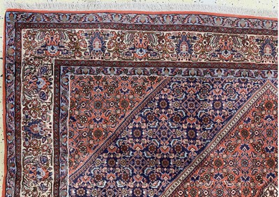 27169005g - Bidjar Kork fein, Persien, Mitte 20.Jhd, Korkwolle auf Baumwolle, ca. 285 x 205 cm, ...